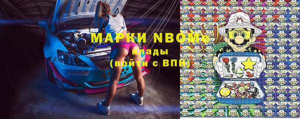 прущие грибы Абинск