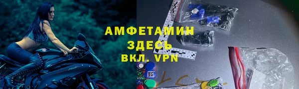 прущие грибы Абинск