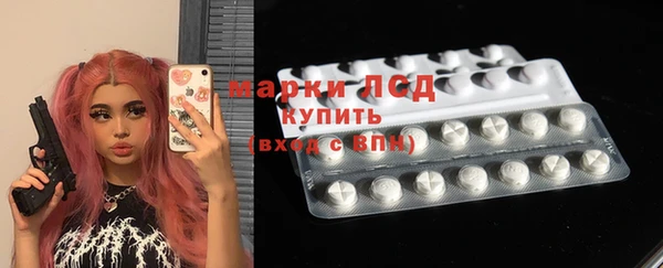 прущие грибы Абинск