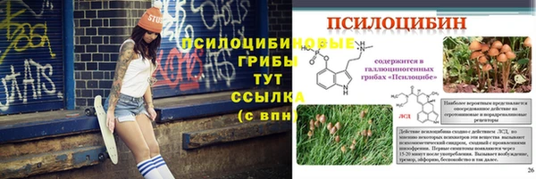 стафф Вяземский